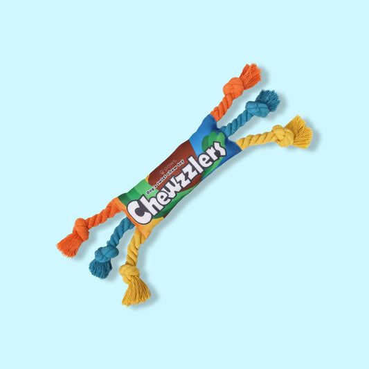 Chewzzlers Fun Rope Toy