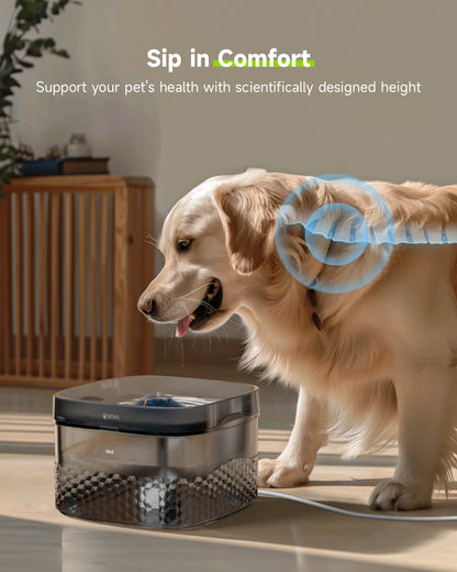 Fizzy™ Dog Water Fountain